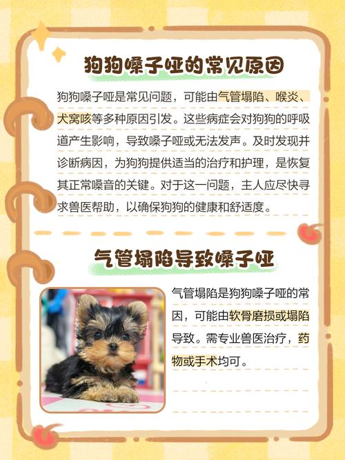 狗狗嗓子哑了怎么办?