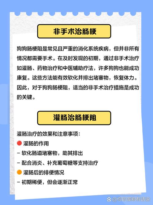 狗狗肠梗阻最简单处理方法有哪些