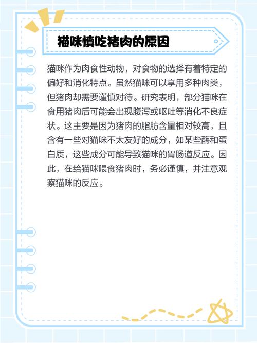 猫咪为什么不能老吃猪肉