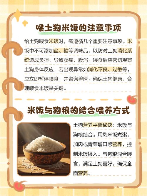 狗狗可以吃大米粥吗