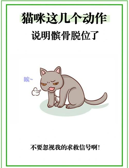 猫咪脱臼有哪些症状?