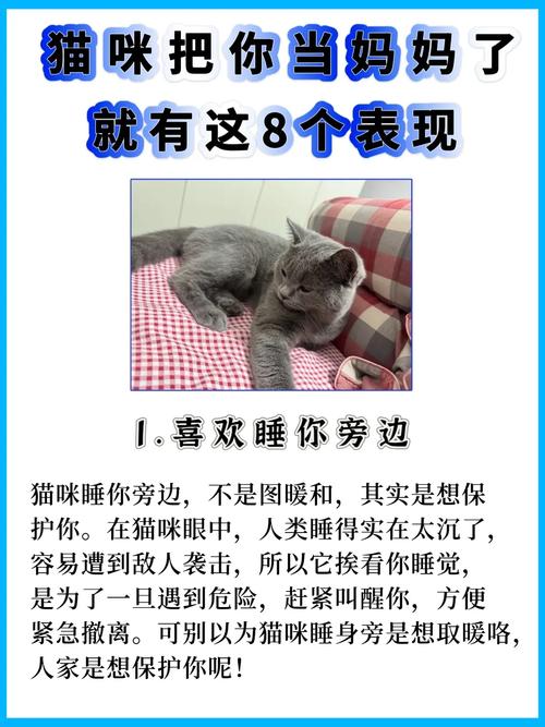 猫咪为什么喜欢接近陌生人?