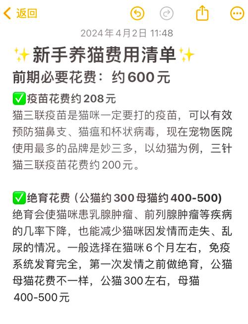 一般情况下猫咪做绝育手术需要多少钱