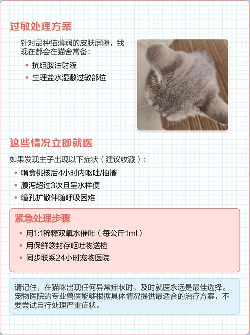 能不能吃桃子,猫能吃哪些蔬菜水果?