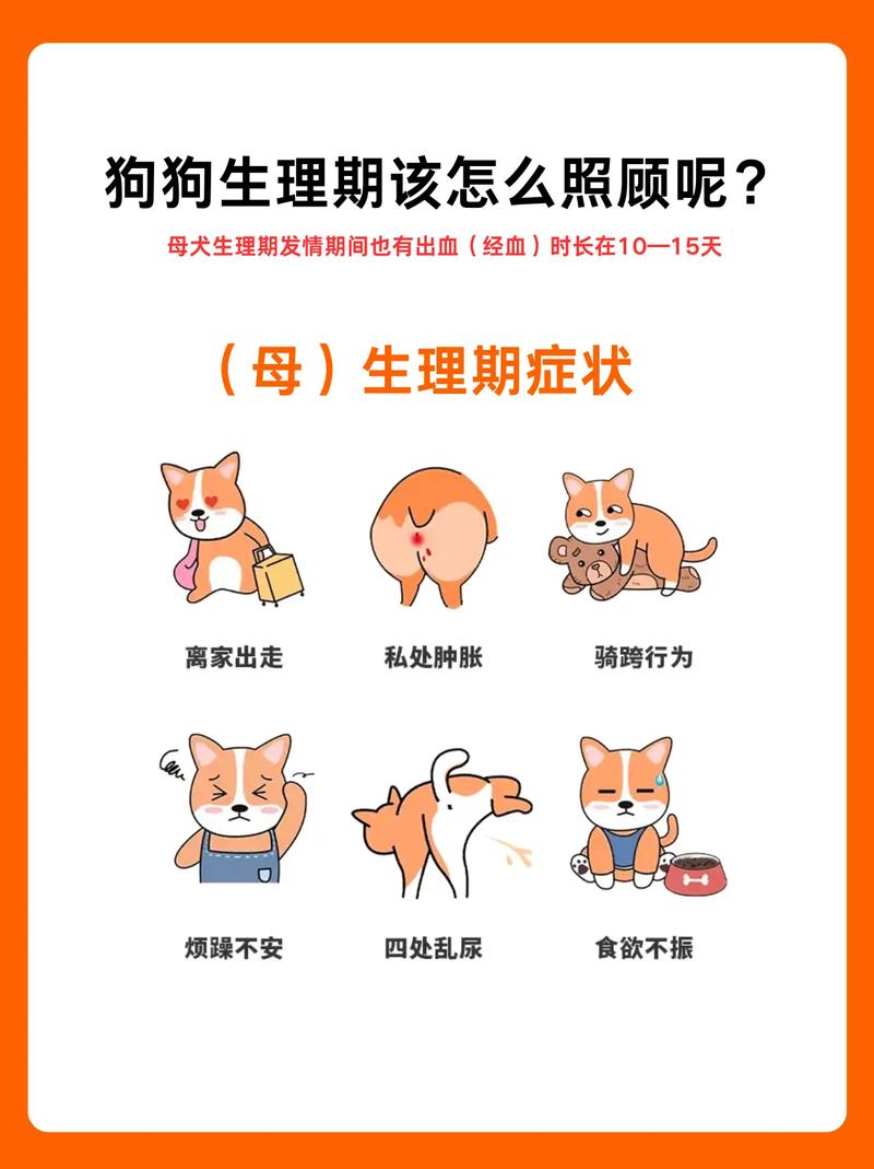 狗狗打疫苗要打第二针的时候晚一两天可以吗