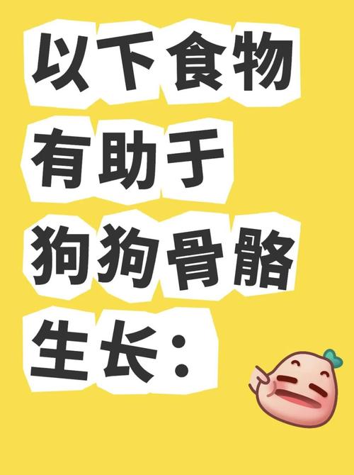 狗狗吃什么能令到骨架粗壮一点