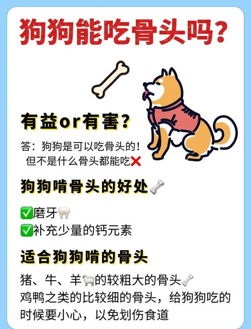 〖Three〗、狗狗可以吃骨头吗?要注意哪些地方?