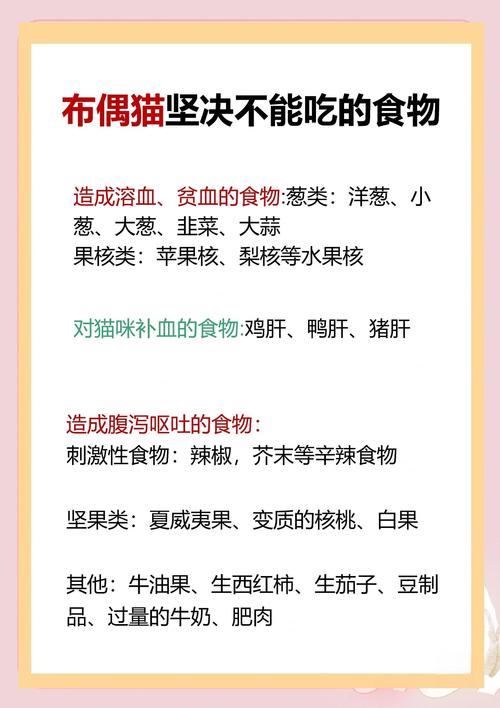 猫布偶能不能吃水果