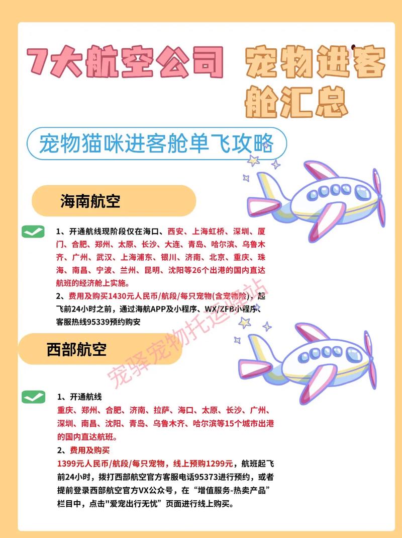 跨省怎么带猫咪回去