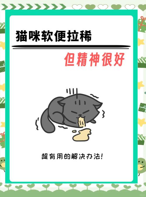 猫咪一直拉软便怎么办