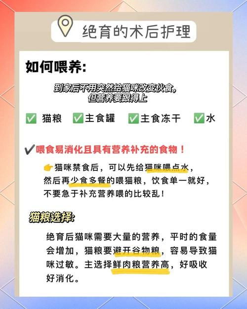 绝育后能不能吃猫条