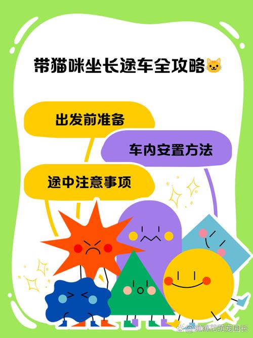 猫长途坐车注意事项
