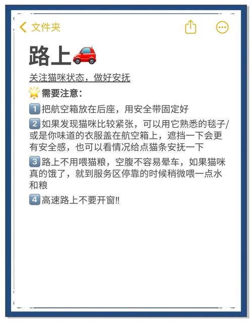 猫咪长途坐车需要注意什么
