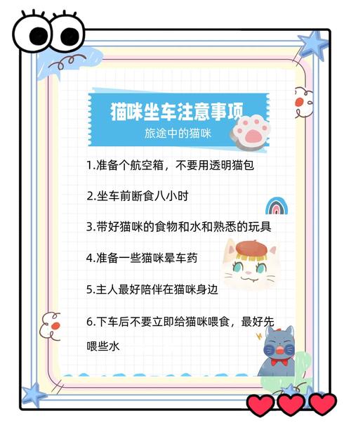 带猫咪坐车有哪些注意事项呢?