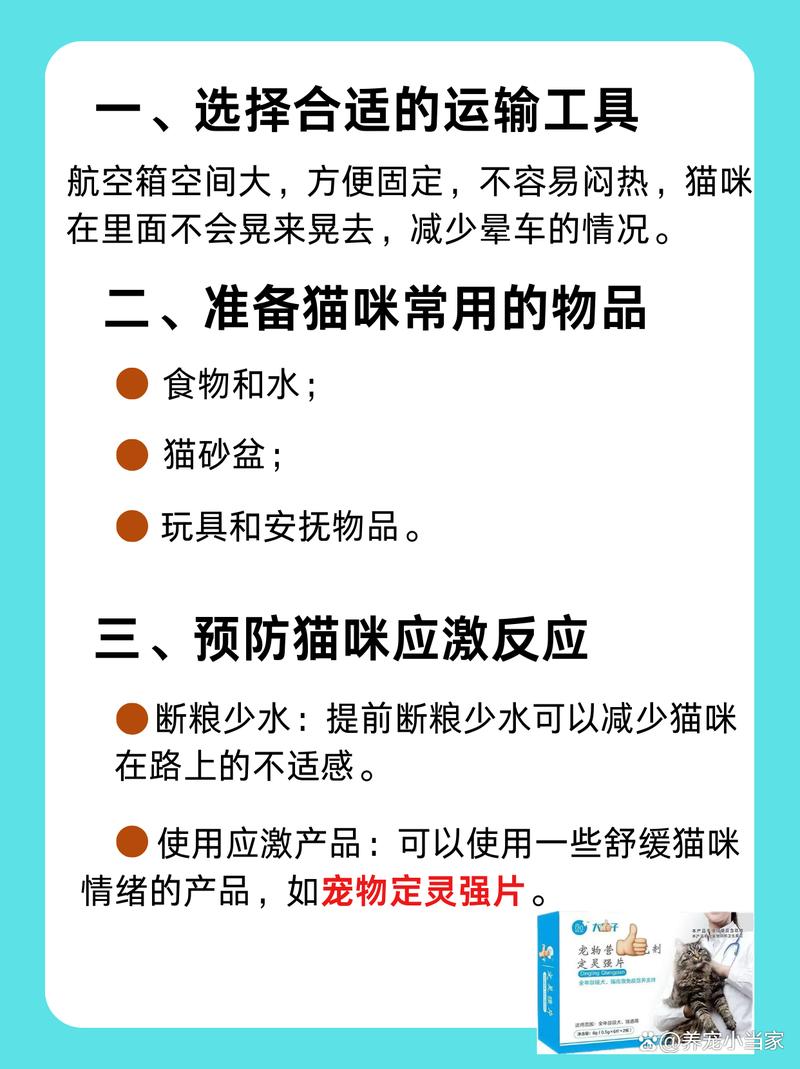猫咪坐车注意事项
