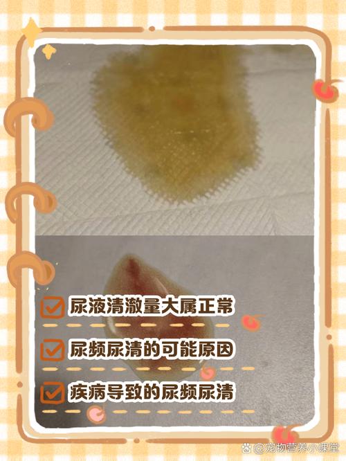 狗狗的尿是咖啡色的