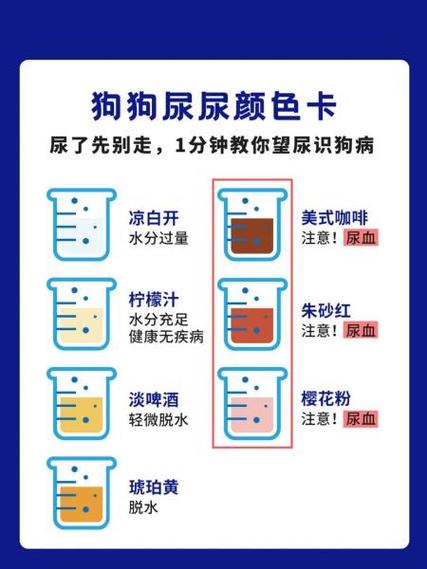 狗狗尿液什么颜色正常