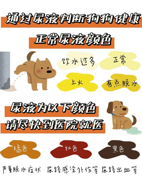 狗狗尿液颜色对比这些问题你要知道!_