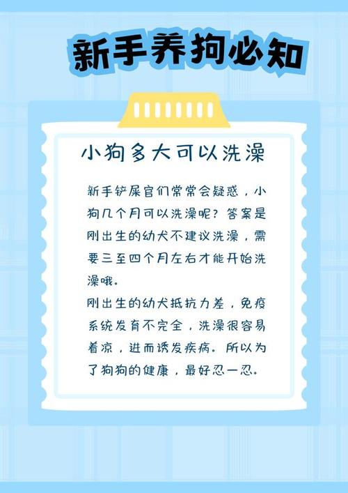 狗狗多大能洗澡