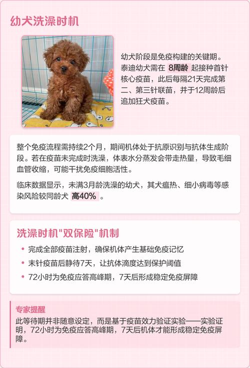 狗狗到家第二天可以洗澡吗?