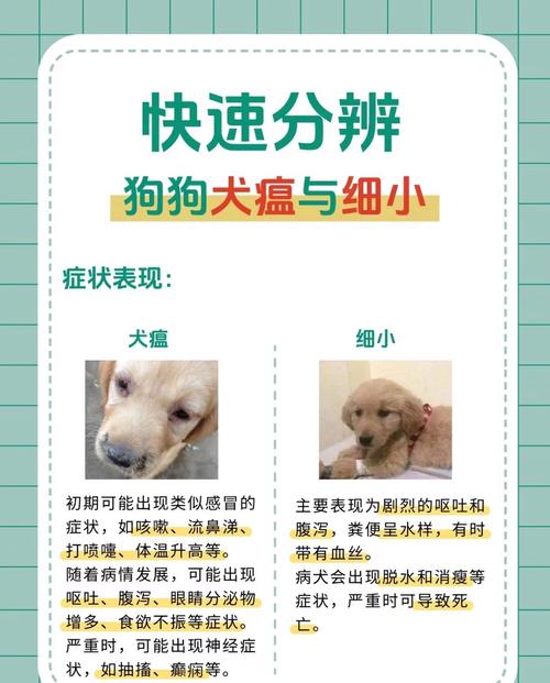 犬瘟一般是怎么得的