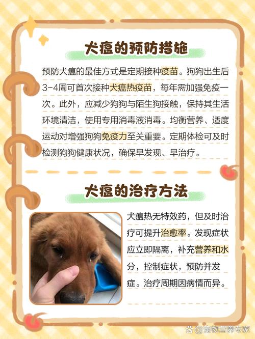 狗狗得犬瘟是什么原因导致的