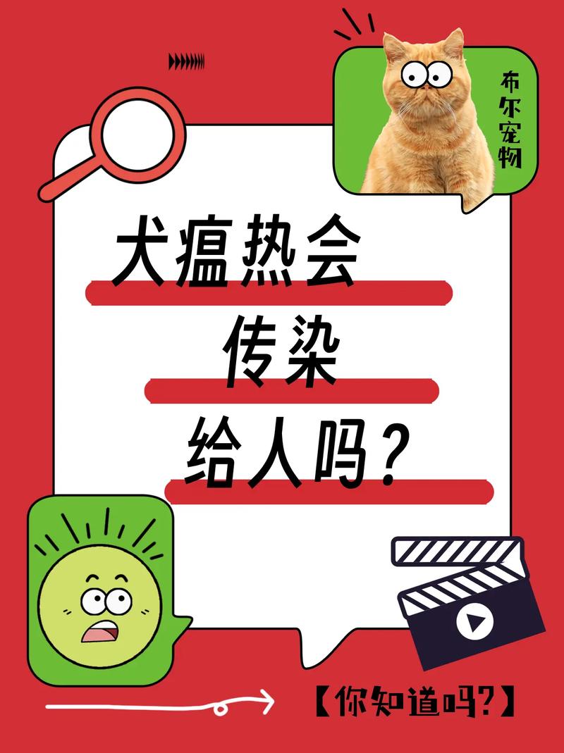 狗感冒发烧会传染给人吗?