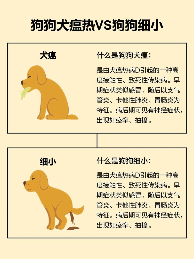 狗狗犬瘟热会不会传染给人?