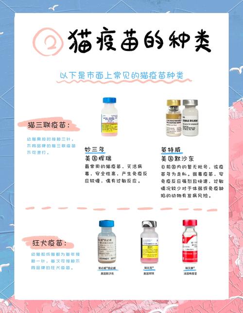 室内养的猫完全没必要打三联