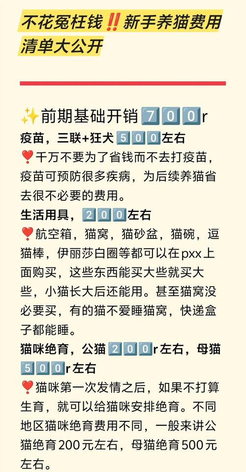 养猫日常:猫咪打疫苗全攻略