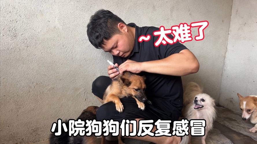 能自己给狗狗打针吗