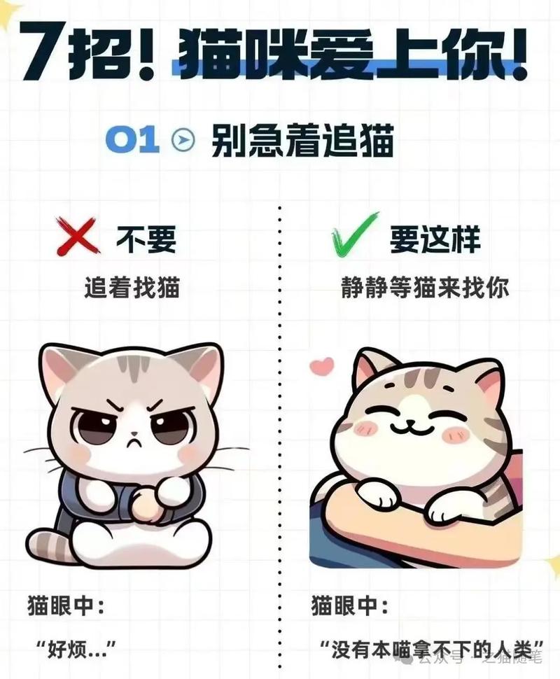 想要猫咪对你撒娇不停?试试这5个方法,让它更爱你!