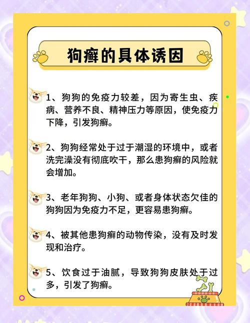 狗狗身上总是痒怎么办