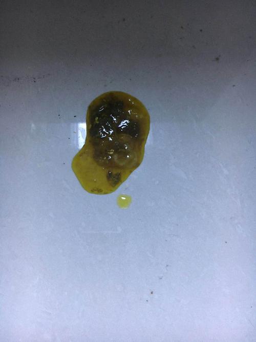 一个月的狗狗拉稀