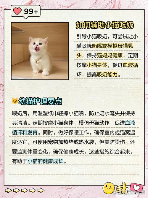 刚生下来的小猫不会吃奶怎么办