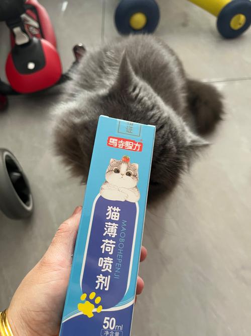 连了给猫住的笼子和垫子和窝喷洒了二天的酒精,结果猫死了,为什么?