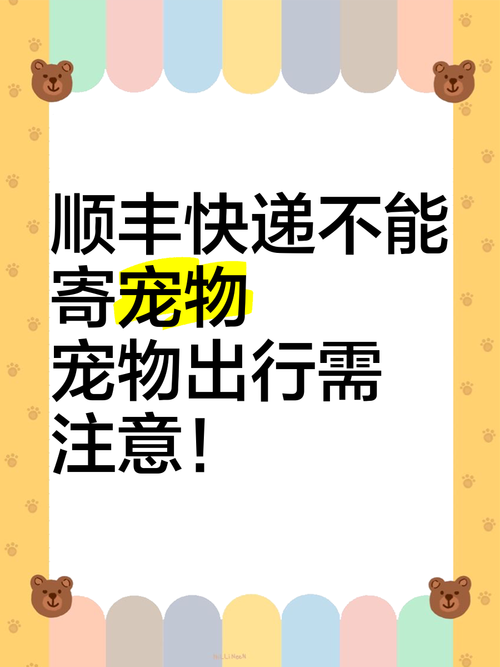 猫咪空运安全吗