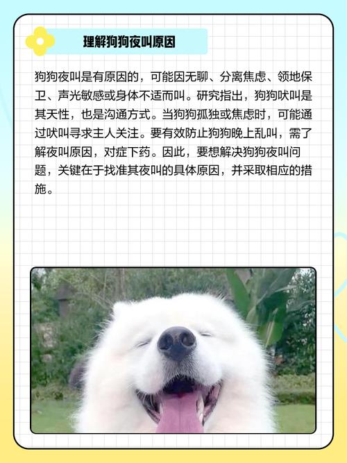 怎样制止狗狗晚上乱叫