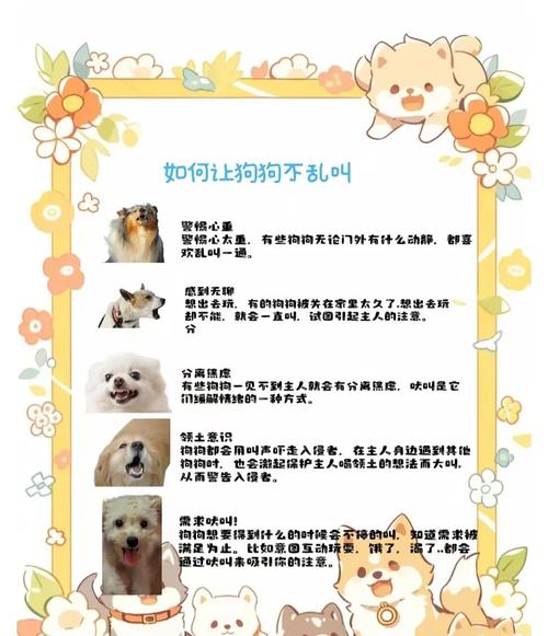 家里的狗乱叫,怎么办?