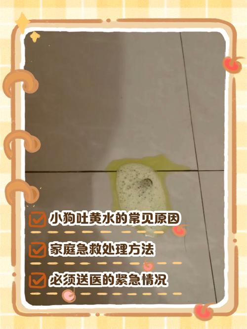 狗狗吃了肉为什么会吐黄水