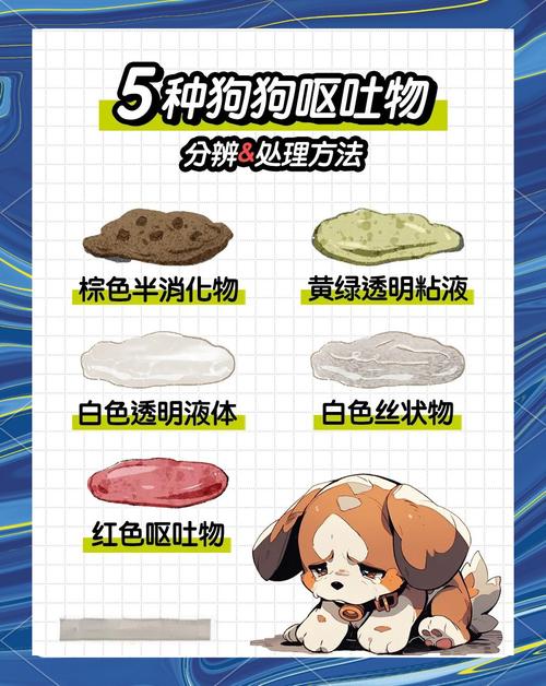 小狗吃肉后呕吐怎么办