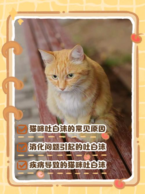猫体内驱虫后吐了正常吗?