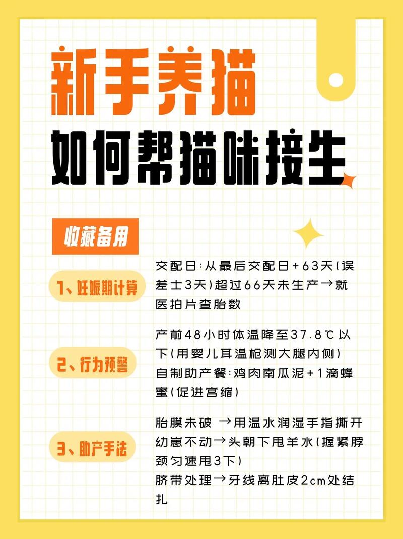 求助,遇到只流浪猫想抱回家养,但猫咪怀孕了怎么办