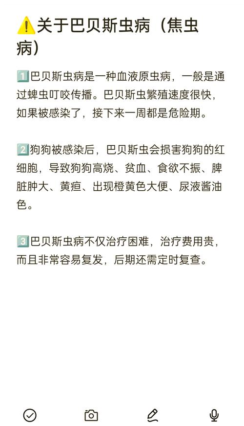 狗的焦虫病多久可以好转?