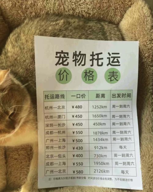 狗运输走什么快递