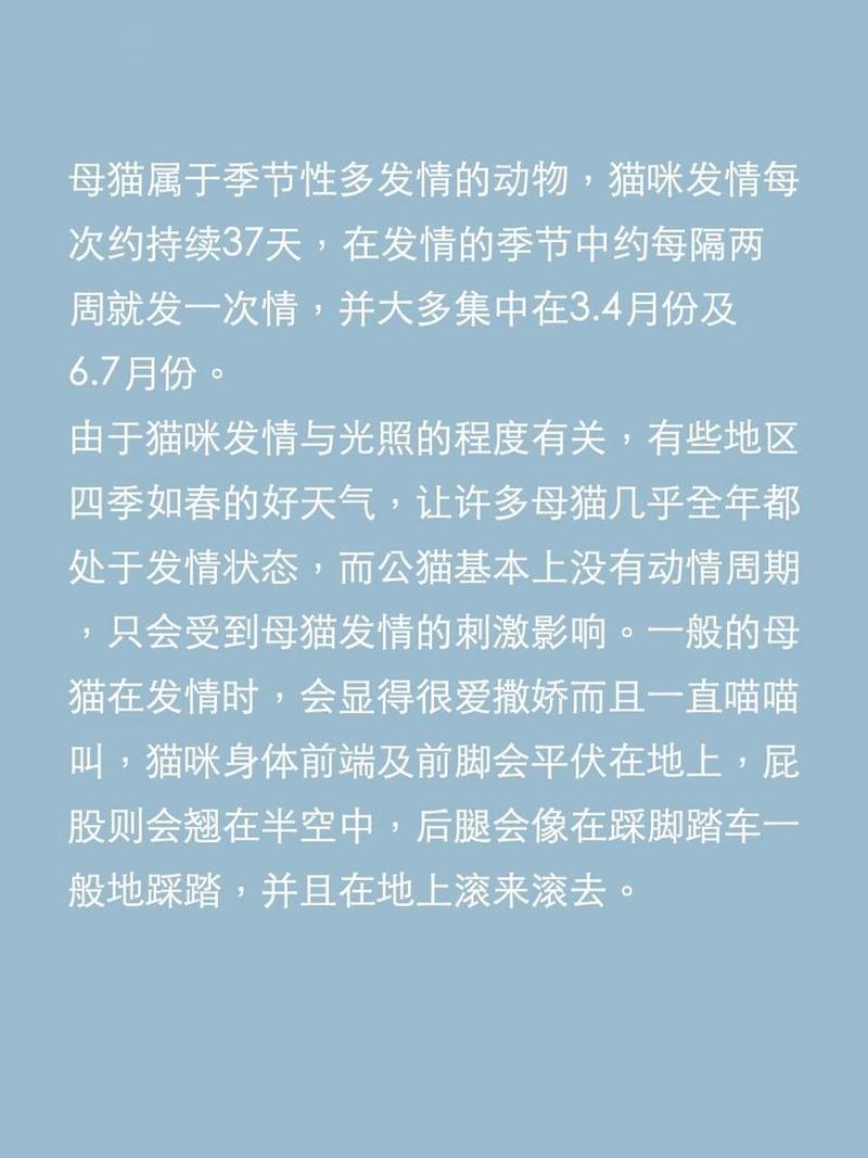 猫咪每年有几次发情期?
