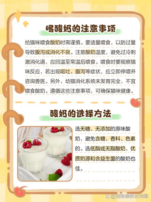 猫咪能喝酸奶吗,猫喝酸奶的好处和坏处