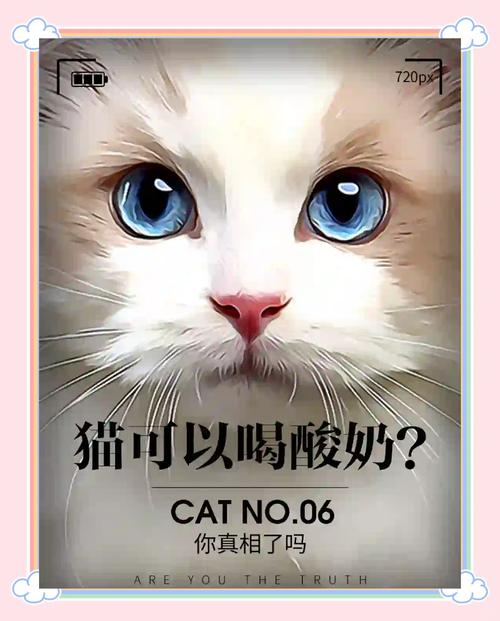 猫咪是可以喝酸奶的吗