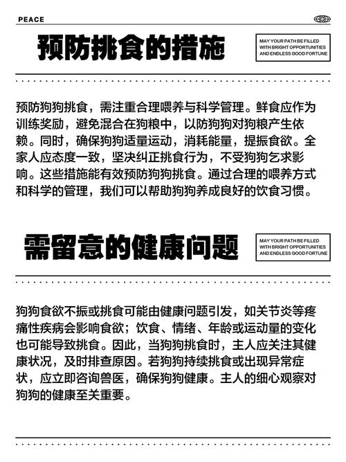 狗吃狗粮好,还是吃肉好?