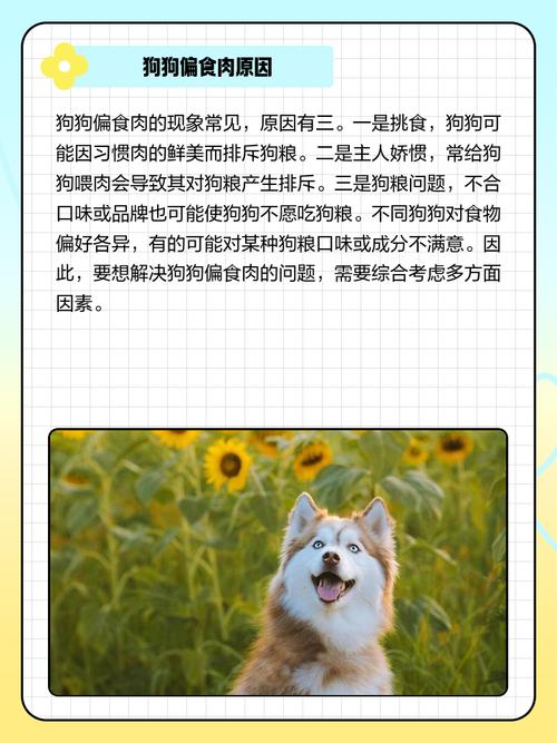 狗吃肉好还是狗粮好